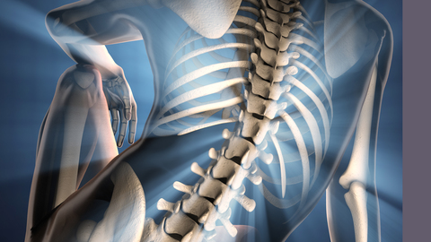 Differential Diagnosis of the Spine: Physical Diagnosis of the Spine