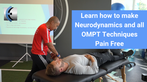 Modern Manual Therapy: The Eclectic Approach to Upper and Lower Quarter Assessment and Treatment