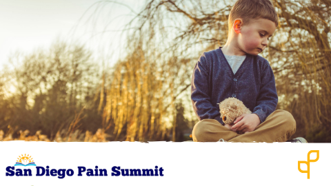 Pain: The Patient's Perspective
