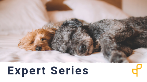Sleep: Moving Beyond Sleep Hygiene