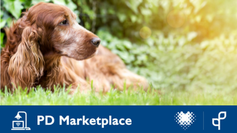An Innovative Senior Dog Program with Carrie Smith