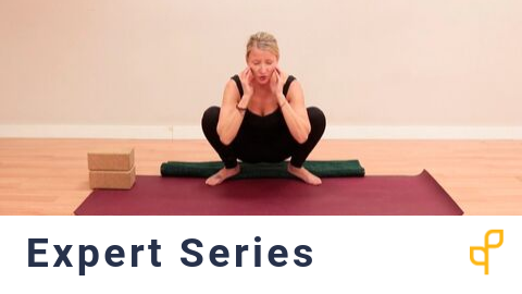 Expert Series: Yoga as a Therapeutic Approach in Pelvic Health Care with Shelly Prosko