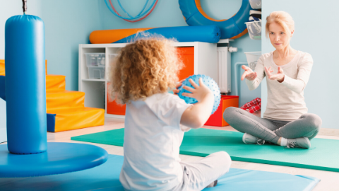 Physiotherapy in Autism Spectrum Disorder