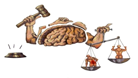 APTEI: An Introduction to the Pain Truth Certification Program