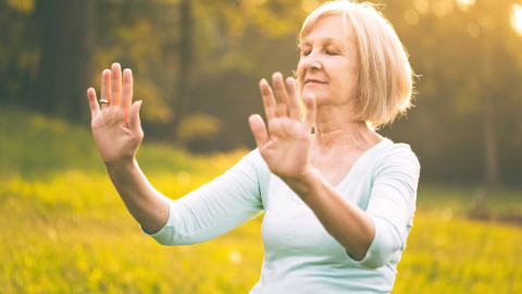 Clinical Tai Chi: System of Balance: Level 1