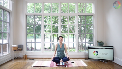Medical Therapeutic Yoga - Level I Certification