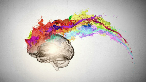 APTEI: Applying Neuroplasticity Concepts into PT Practice