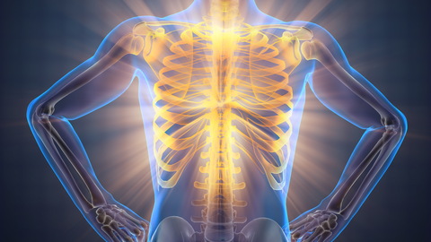 Just Breathe 101: Respiration and the Impact on Health, Pain, Posture and Movement