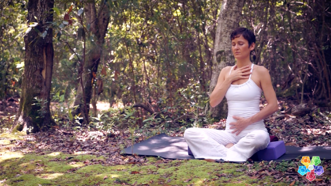 Medical Therapeutic Yoga Resource Package