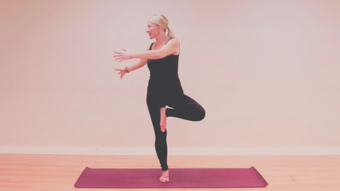 Resource Package: PhysioYoga and the Pelvic Floor