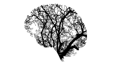 Key Concepts in Pain Science