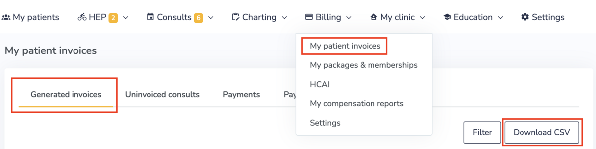 Download CSV of patient invoices
