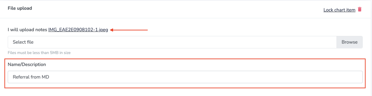Uploading a file on Embodia