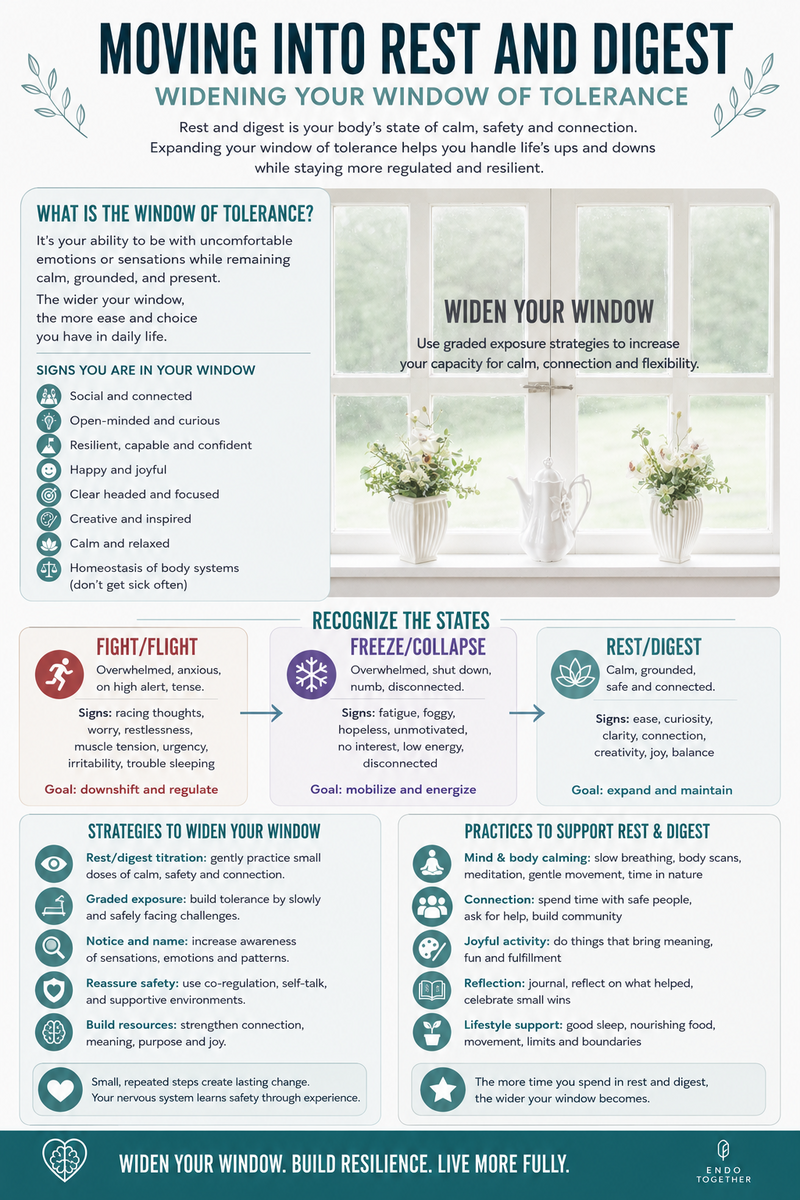 Endometriosis Patient Education Resources by Jill Mueller