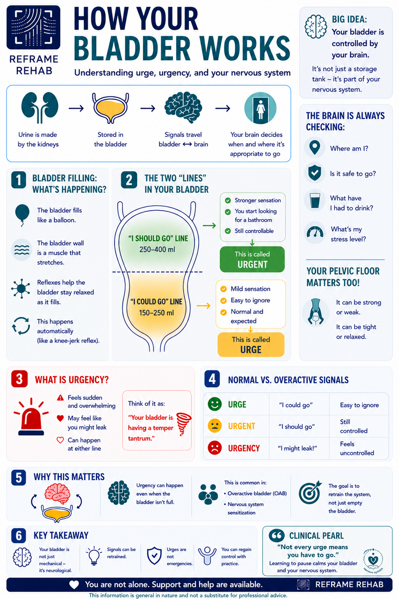 Bladder Urgency and OAB Patient education on Embodia