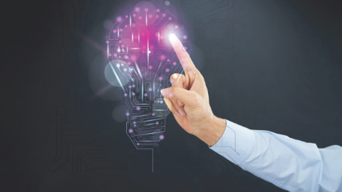 Pain Science, Innovation & The Future of the Profession